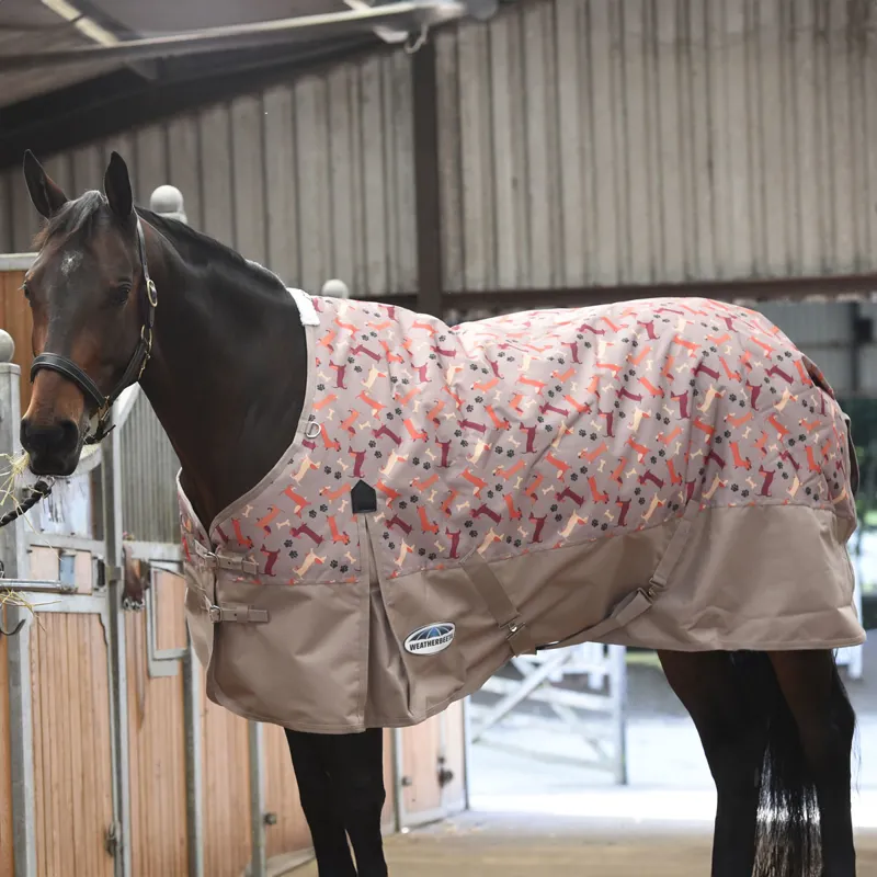 WeatherBeeta ComFiTec Essential 50g Plus Lite Turnout - Dachshund-1