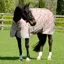 WeatherBeeta ComFiTec Essential 50g Plus Lite Turnout - Dachshund