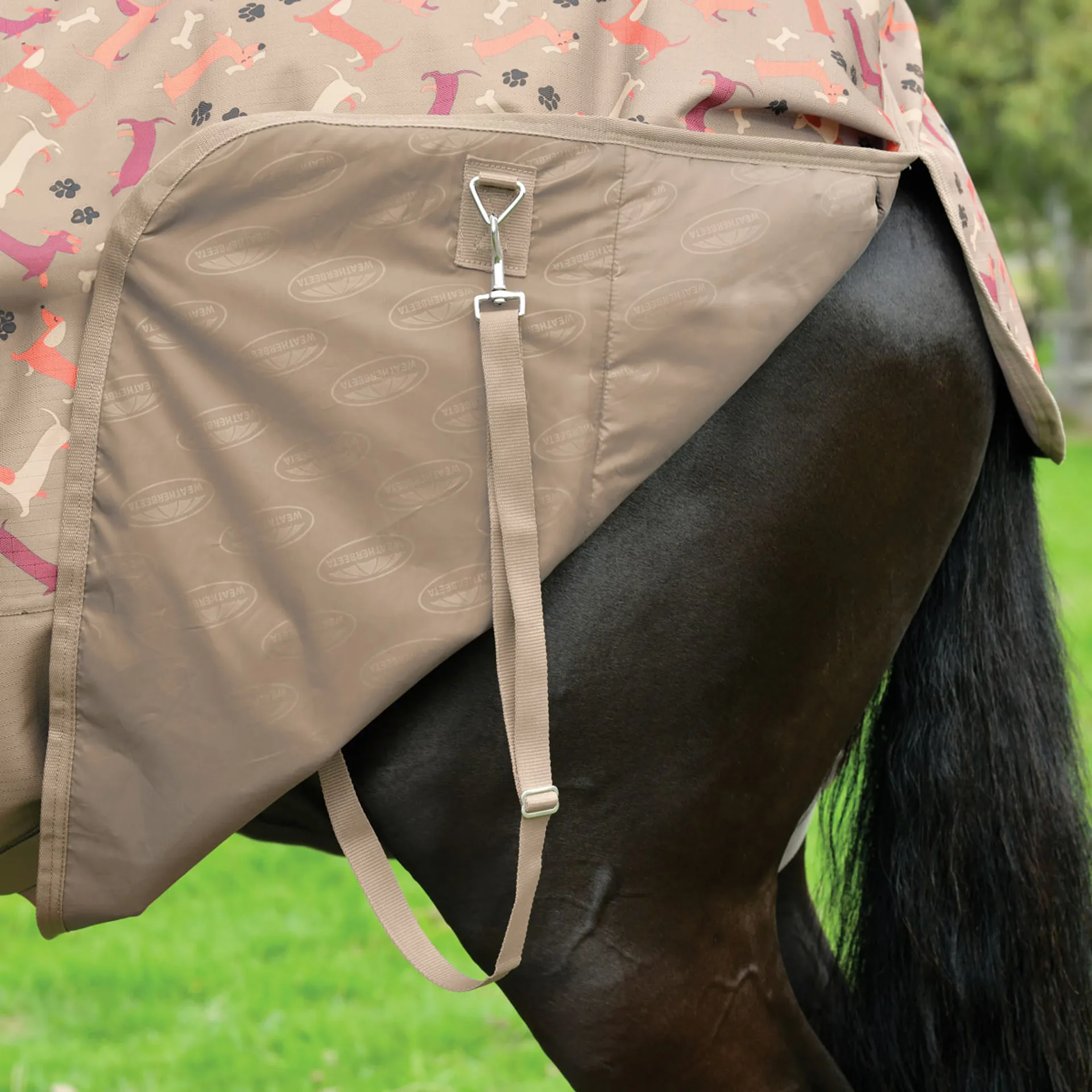 Tapis Cheval WeatherBeeta ComFiTec Plus Dynamic II | 220g | Encolure Amovible | Violet