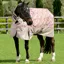 WeatherBeeta ComFiTec Essential 220g Combo Turnout Rug - Dachshund