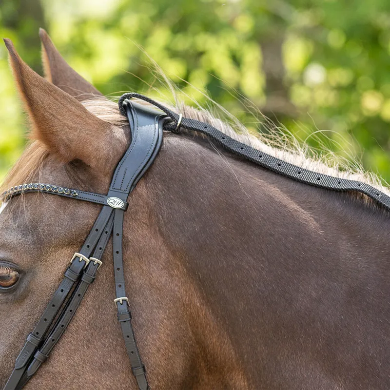 QHP Daisy Rein - Black-3