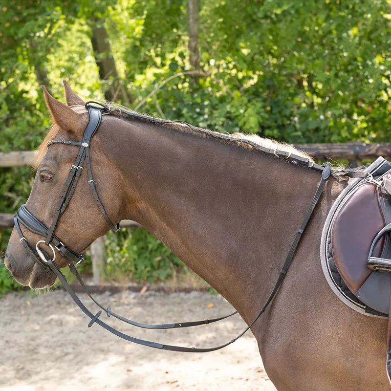 QHP Daisy Rein - Black-1