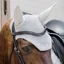 Kentucky Wellington Diamond Rope Soundless Ear Fly Veil - Grey
