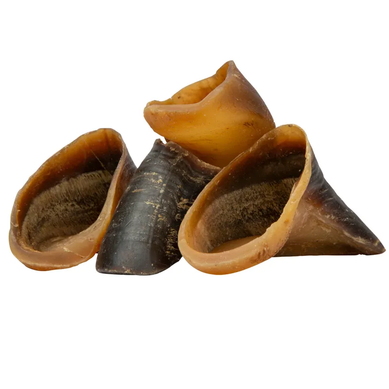 Digby and Fox Buffalo Hoof for Dogs