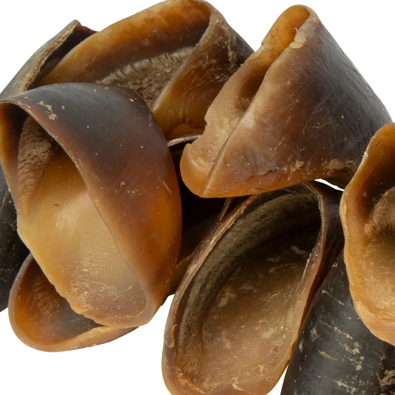 Digby and Fox Buffalo Hoof for Dogs-2