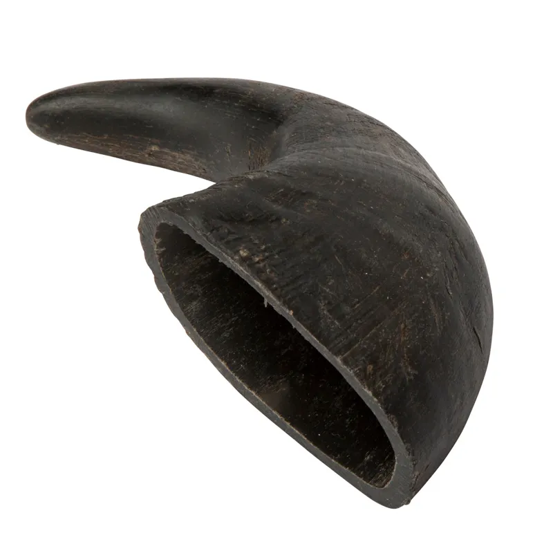 Digby and Fox Buffalo Horns for Dogs-2