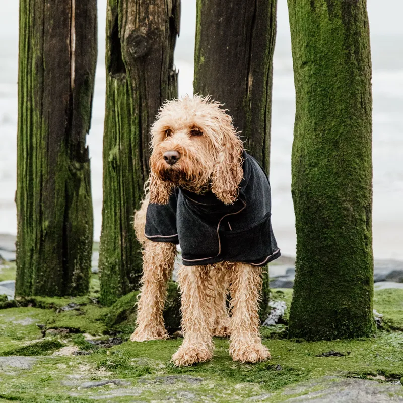 Kentucky Towel Dog Coat - Black-1