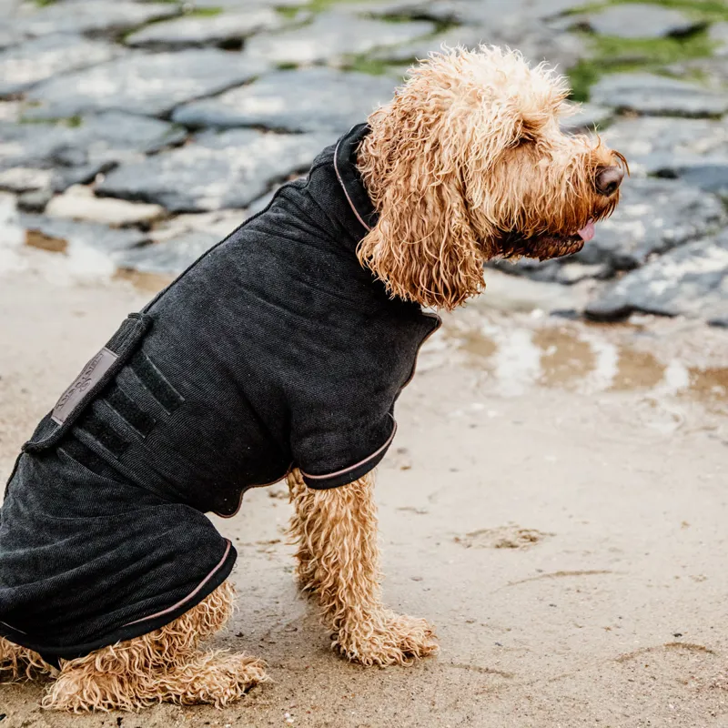Kentucky Towel Dog Coat - Black-2