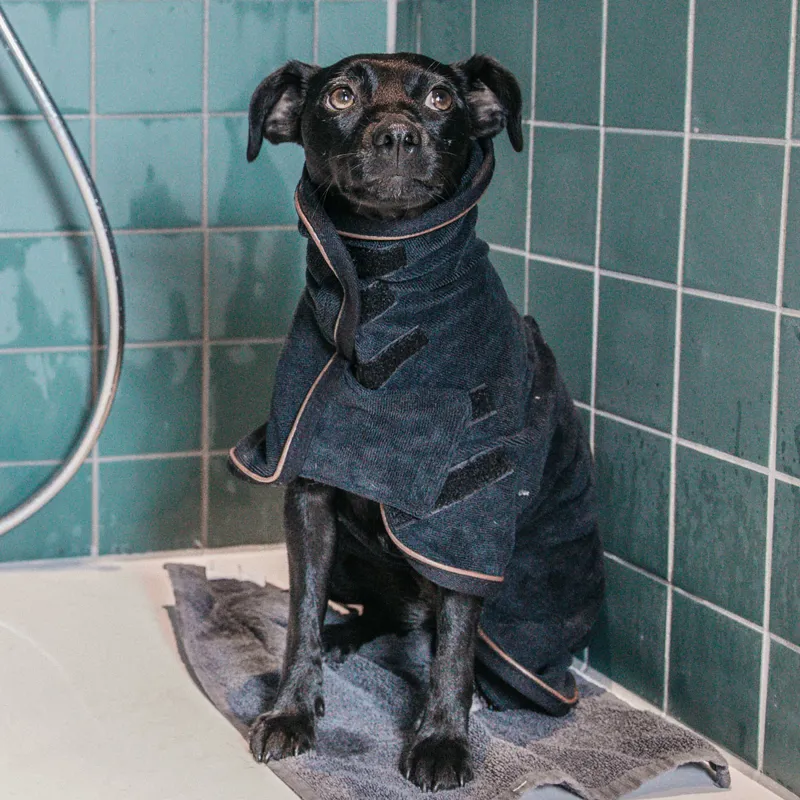 Kentucky Towel Dog Coat - Black-4