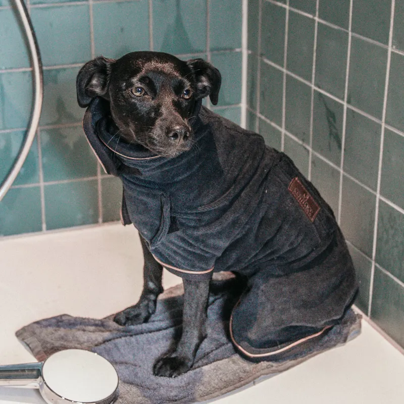 Kentucky Towel Dog Coat - Black-5