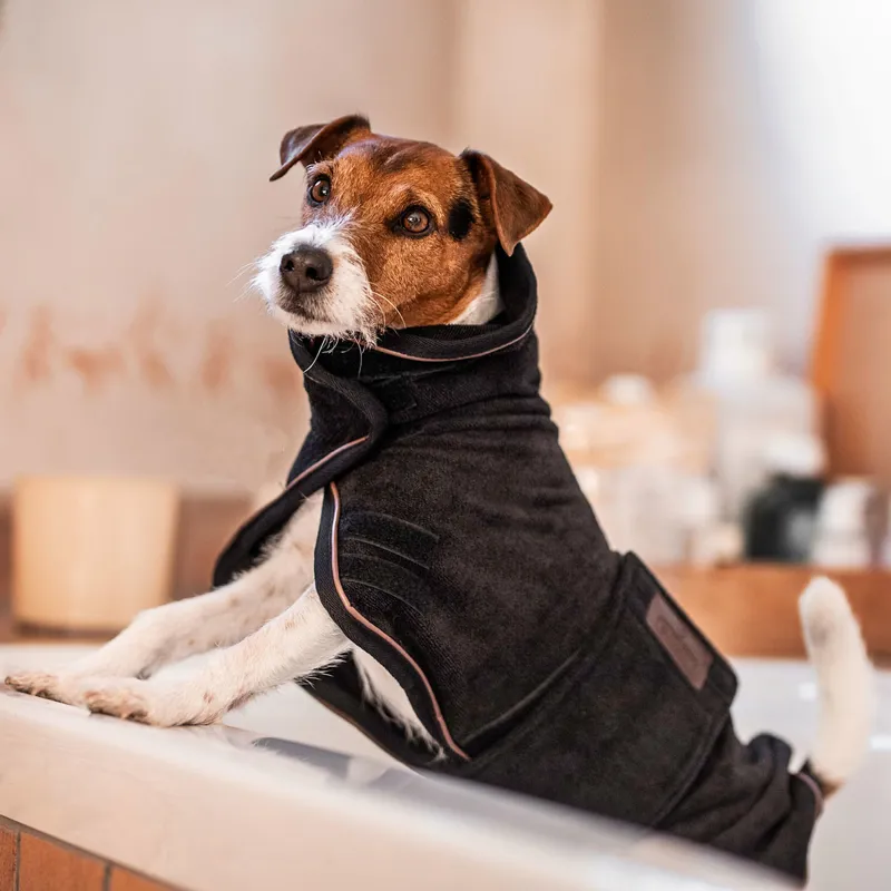 Kentucky Towel Dog Coat - Black-6