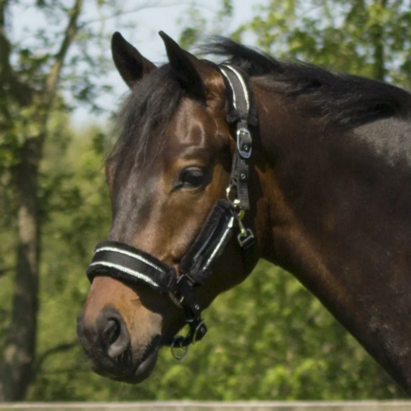 QHP Dolci Headcollar and Leadrope Set - Black/Silver-1
