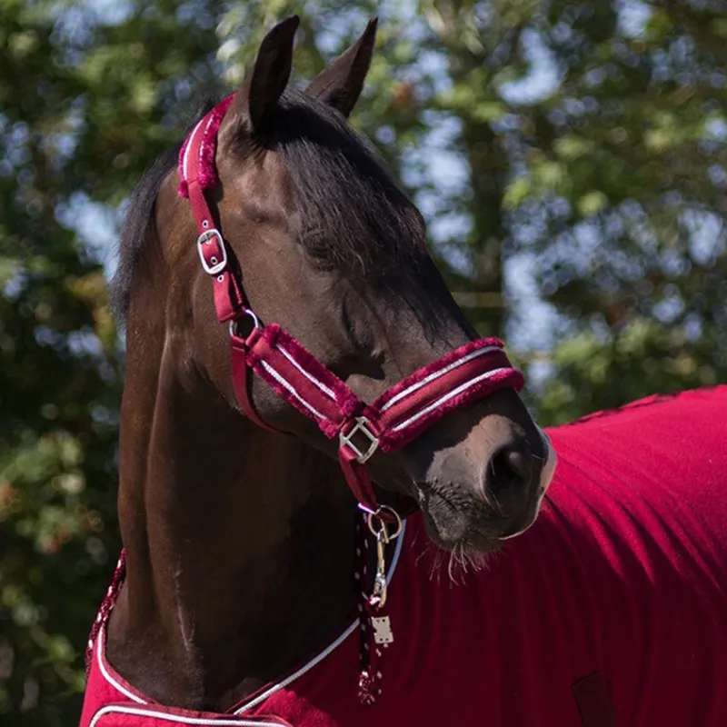 QHP Dolci Headcollar and Leadrope Set - Burgundy/Silver-1