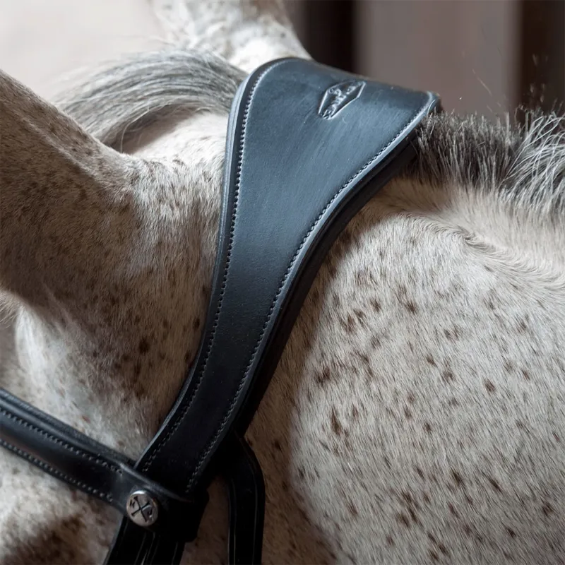 Henry James Dressage Bridle - Black-5