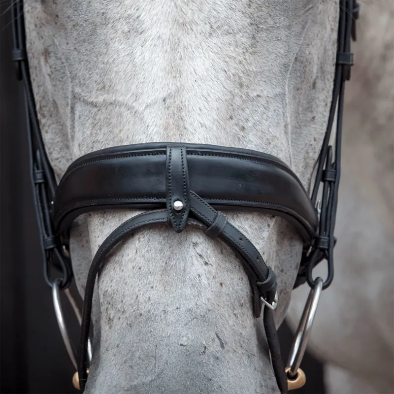 Henry James Dressage Bridle - Black-3