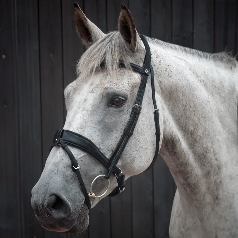 Henry James Dressage Bridle - Black-1