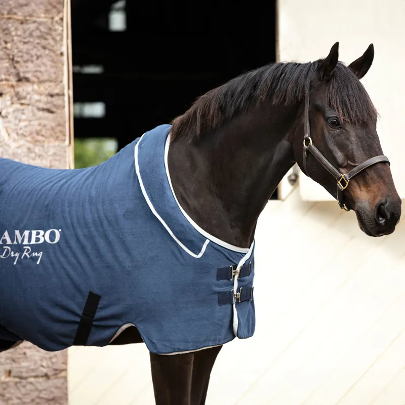 Rambo Supreme Dry Rug - Navy/Silver-1