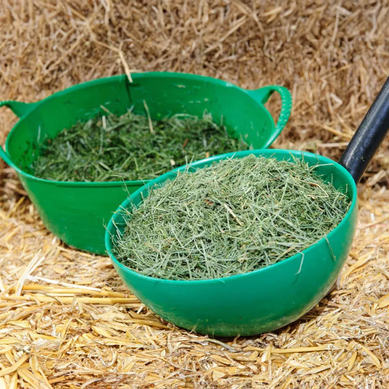 Emerald Green Feeds Grass-Tastic - 12.5kg-1