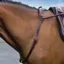 Mackey Leather Neck Strap with Handle - Brown