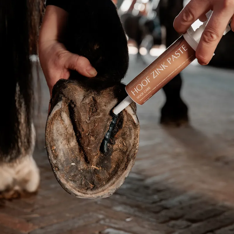 Grooming Deluxe Zinc Hoof Paste-5