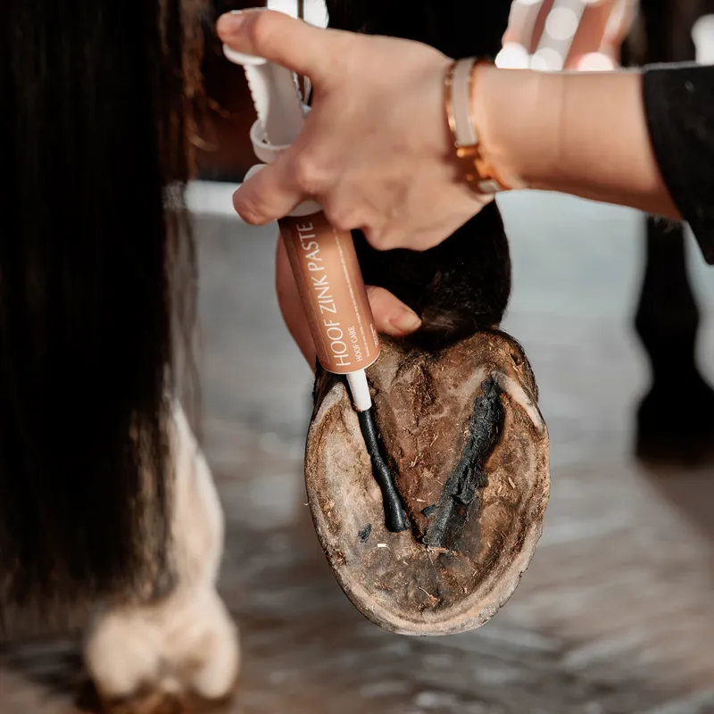 Grooming Deluxe Zinc Hoof Paste-4