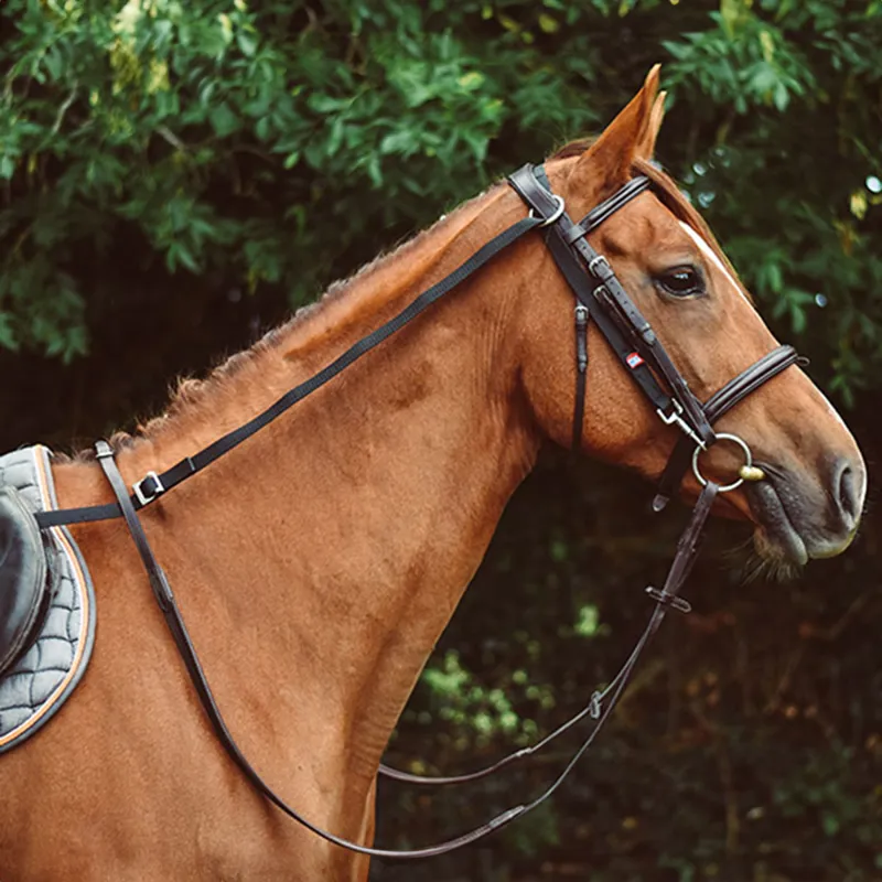 EquiSential Anti-Grazing Reins