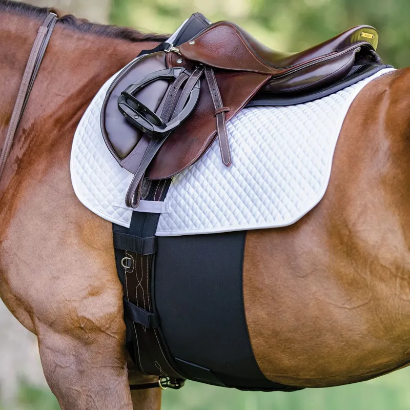 Equifit BellyBand+ Spur Guard - Black