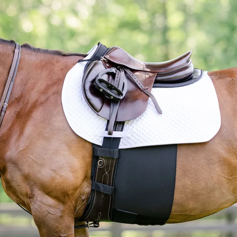 Equifit BellyBand+ Spur Guard - Black-1
