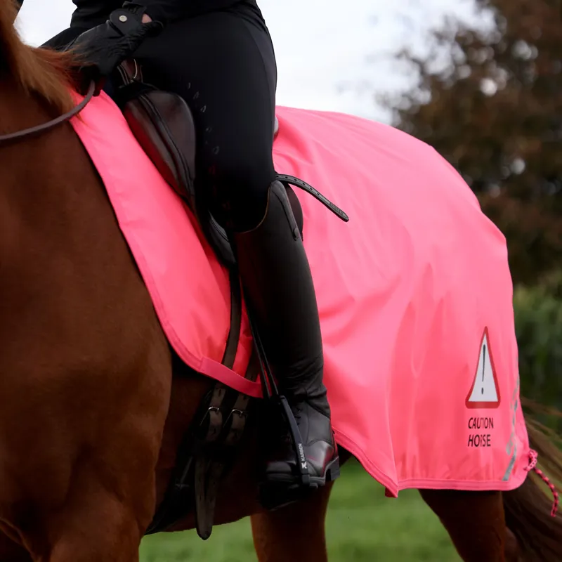 EQUI-FLECTOR Waterproof Exercise Sheet - Pink-3