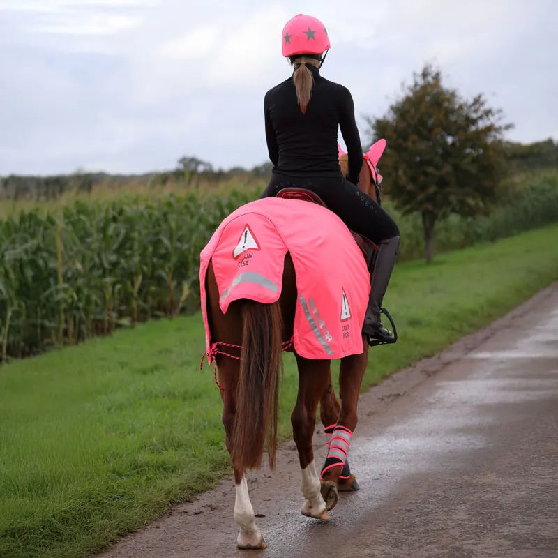 EQUI-FLECTOR Waterproof Exercise Sheet - Pink-4