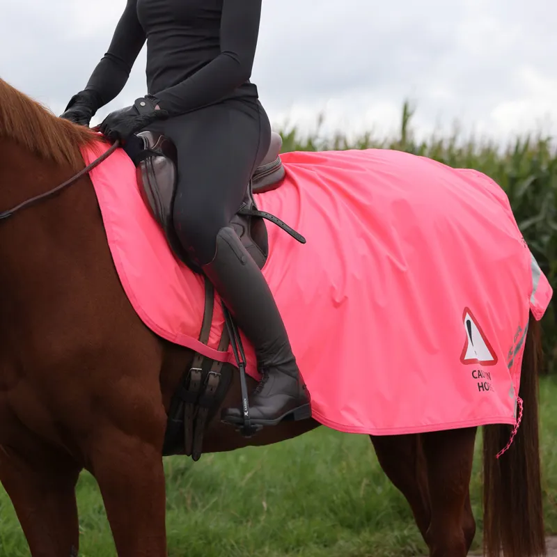 EQUI-FLECTOR Waterproof Exercise Sheet - Pink-5