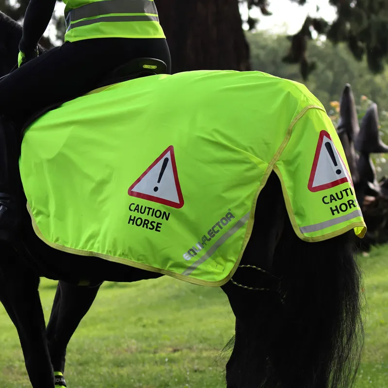 EQUI-FLECTOR Mesh Exercise Sheet - Yellow