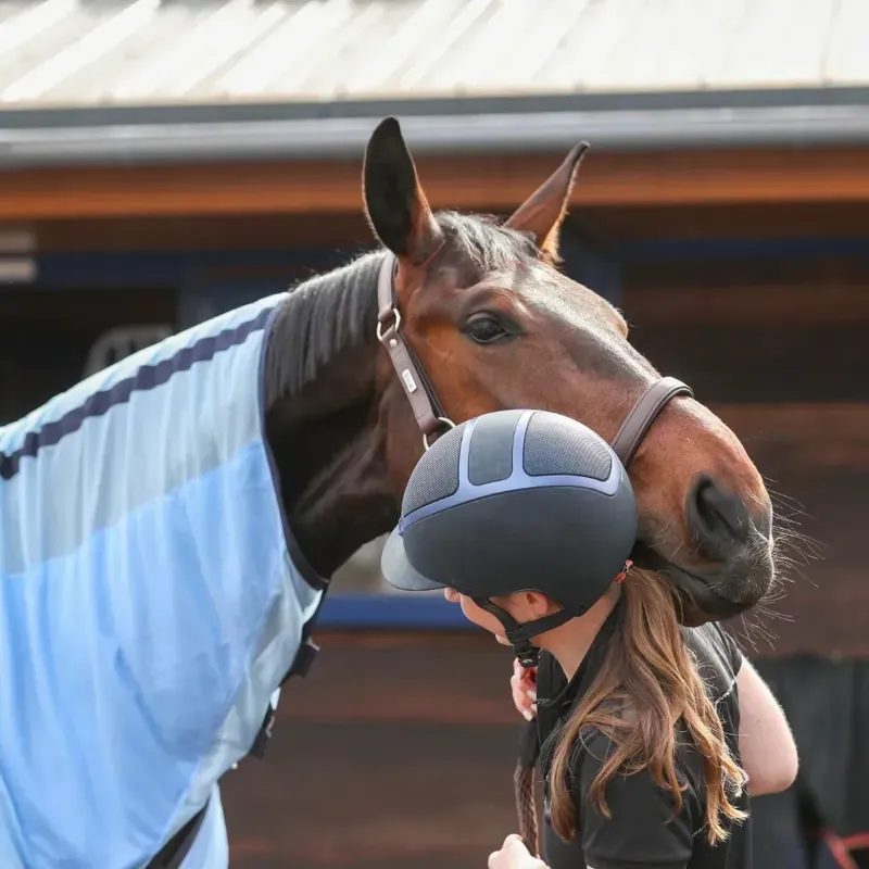 Equilibrium Quick Chill Cooling Rug Neck Cover - Light Blue-1