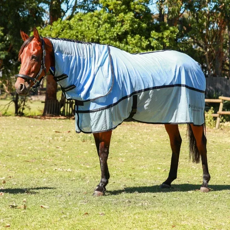 Equilibrium Quick Chill Standard Neck Cooling Rug - Blue-1