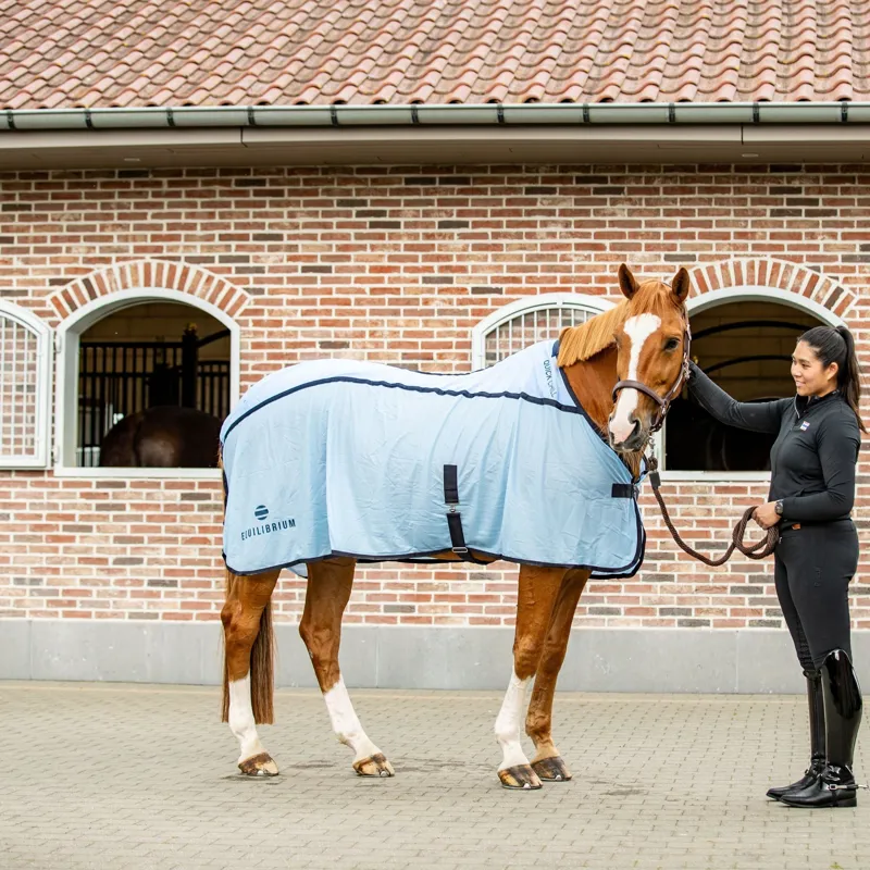 Equilibrium Quick Chill Standard Neck Cooling Rug - Blue-3