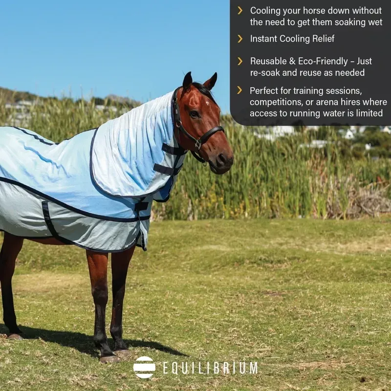 Equilibrium Quick Chill Standard Neck Cooling Rug - Blue-5