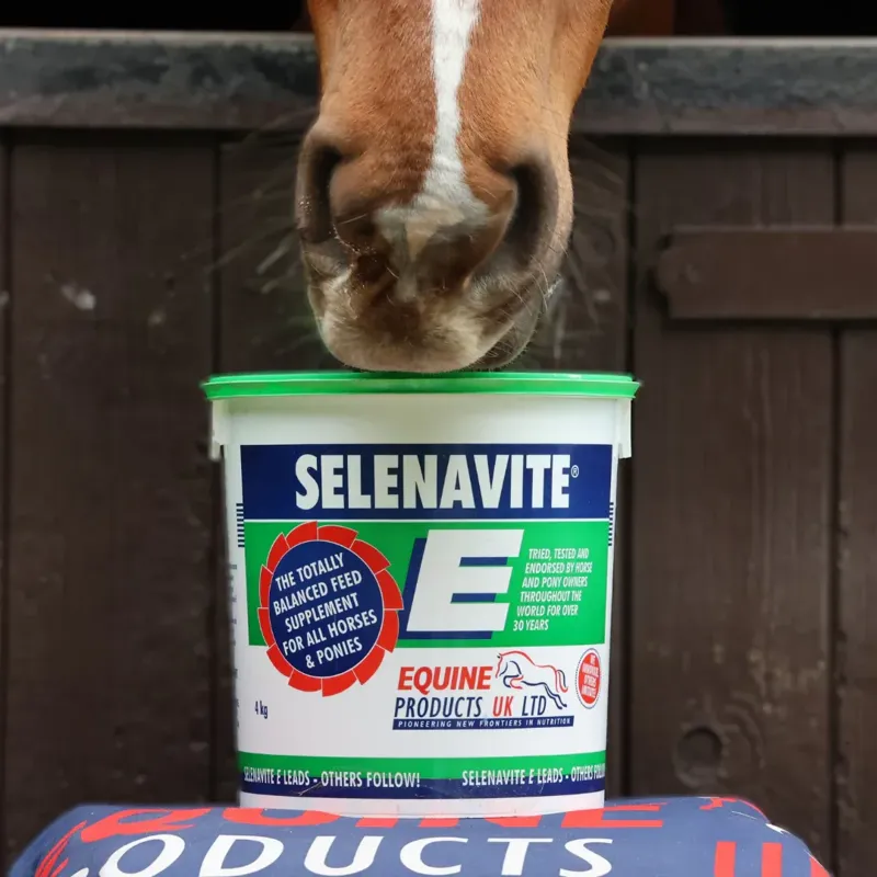 Equine Products Selenavite E Powder-1