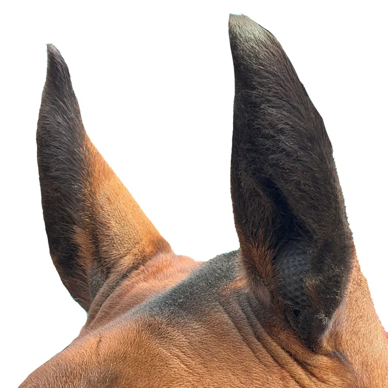 Equetech Equine Orbs Ear Plugs - 4 Pack-1