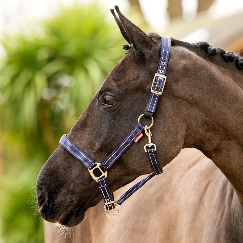 LeMieux Essential Yard Headcollar - Navy-1
