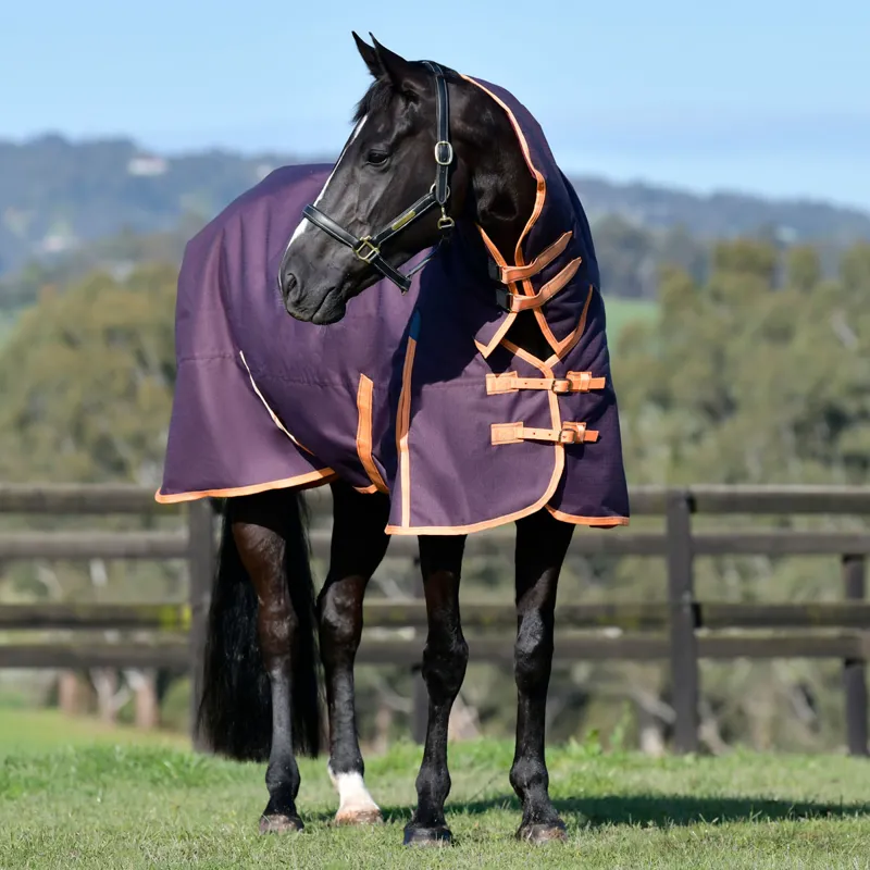 WeatherBeeta ComFiTec Essential 220g Turnout Rug - Plum/Orange