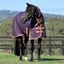WeatherBeeta ComFiTec Essential 220g Combo Turnout Rug - Plum/Orange