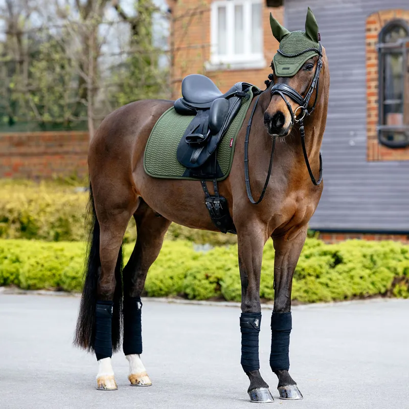 LeMieux Essence Fly Hood - Pine Green-1