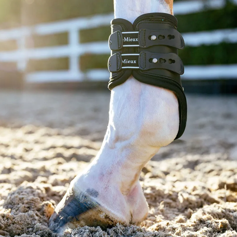 LeMieux Exo-Flex Fetlock Boots - Black-1