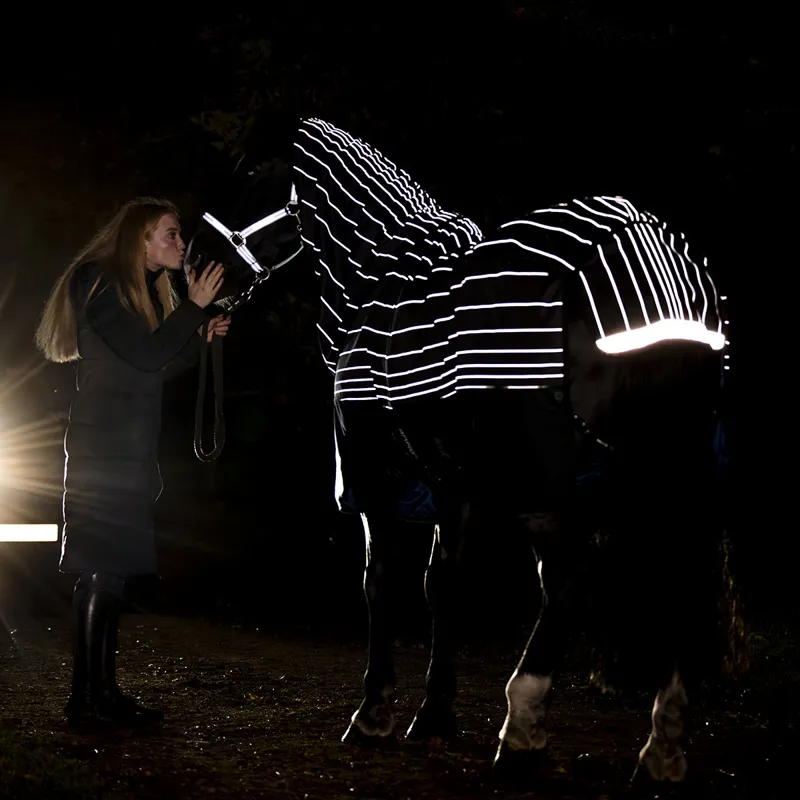 Amigo 1200D FieldSafe Reflectech Plus 100g Turnout Rug - Reflective-11