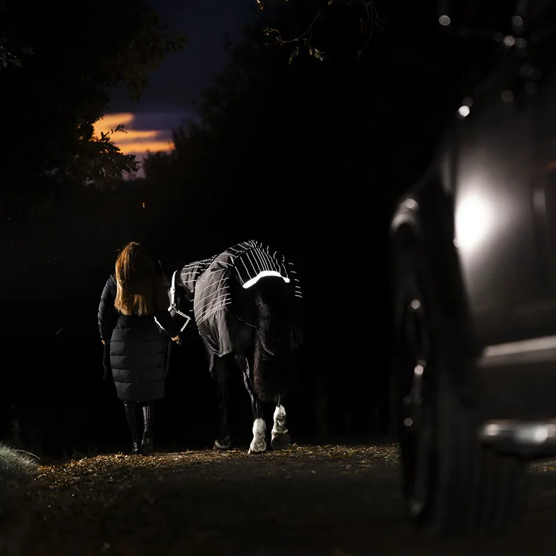 Amigo 1200D FieldSafe Reflectech Plus 0g Turnout Rug - Black/Reflective-6