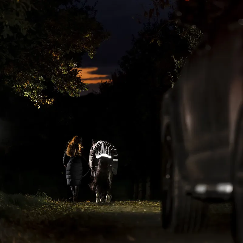 Amigo 1200D FieldSafe Reflectech Plus 0g Turnout Rug - Black/Reflective-5