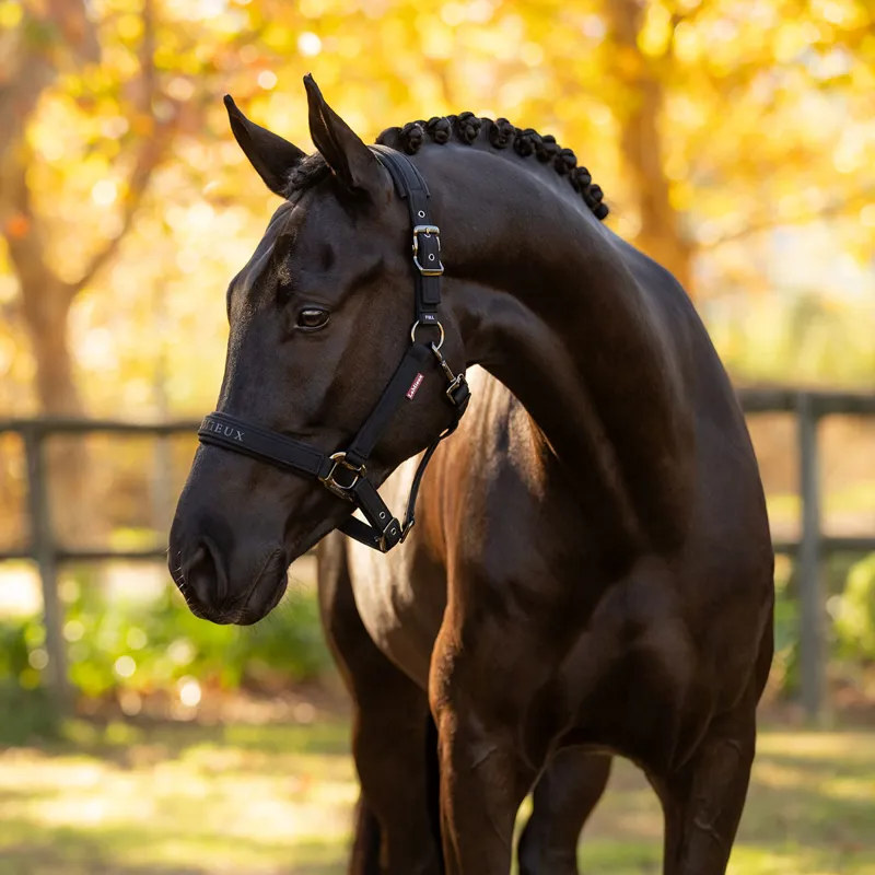 LeMieux Essence Softshell Headcollar - Black-3