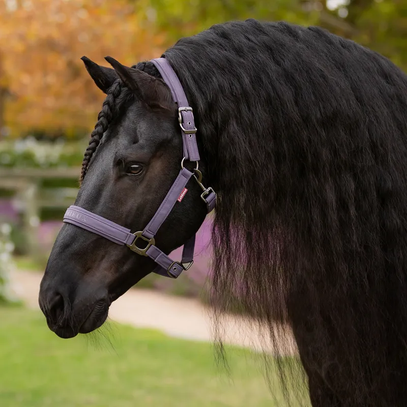 LeMieux Essence Softshell Headcollar - Juniper-1