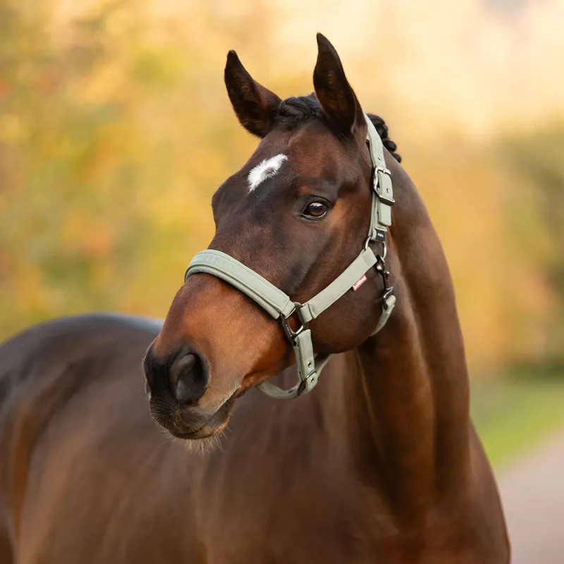 LeMieux Essence Softshell Headcollar - Rosemary-1