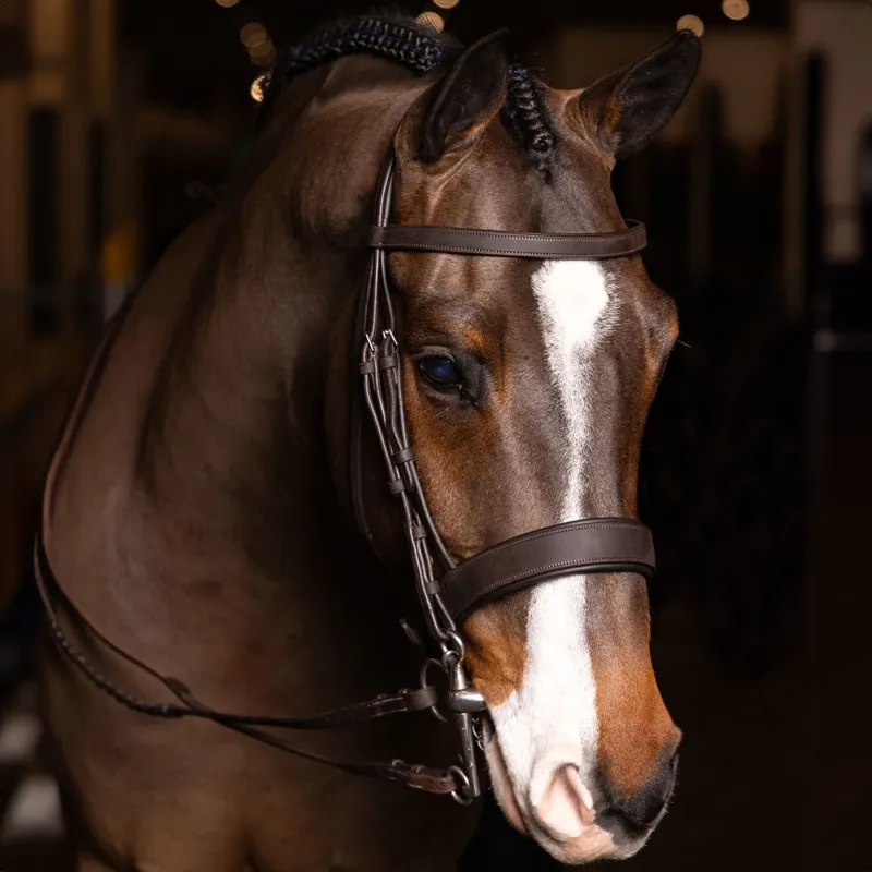 LeMieux Flat Hunter Bridle with Laced Reins - Havana/Silver-2